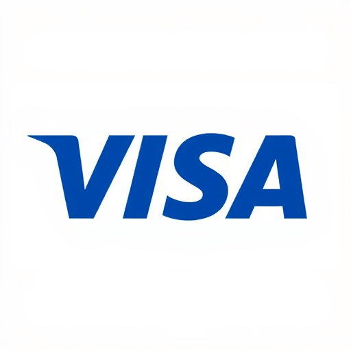Visa - Deposit at 11KK Casino